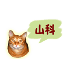 はんなり京都弁・トラ猫みいちゃん2（個別スタンプ：33）