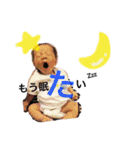 はるあお@..com（個別スタンプ：4）