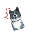 秋田犬きなこ（個別スタンプ：4）