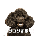 セイヤと愉快な仲間達（個別スタンプ：2）