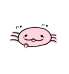 きよっぴっぴスタンプ（個別スタンプ：21）