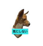 長介のオモロスタンプ（個別スタンプ：5）
