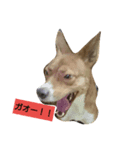 長介のオモロスタンプ（個別スタンプ：7）