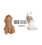 愛しのフレブル（個別スタンプ：3）