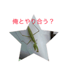 鈴木家の家臣（個別スタンプ：34）