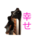 鈴木家の家臣（個別スタンプ：40）