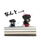 ☆M.シュナ ツインズII☆（個別スタンプ：5）