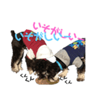 ☆M.シュナ ツインズII☆（個別スタンプ：39）
