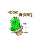 さぼてんスタンプ（個別スタンプ：11）