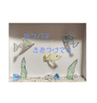 いちねんかん（個別スタンプ：3）