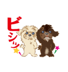ミックス犬 シープーとペキプー（個別スタンプ：1）