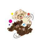 ミックス犬 シープーとペキプー（個別スタンプ：4）