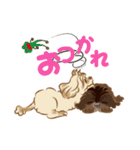 ミックス犬 シープーとペキプー（個別スタンプ：5）