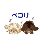ミックス犬 シープーとペキプー（個別スタンプ：6）