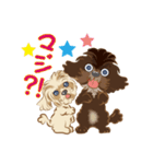 ミックス犬 シープーとペキプー（個別スタンプ：7）