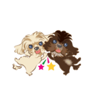 ミックス犬 シープーとペキプー（個別スタンプ：8）