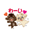 ミックス犬 シープーとペキプー（個別スタンプ：12）