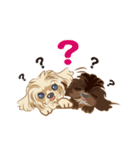 ミックス犬 シープーとペキプー（個別スタンプ：15）