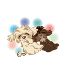 ミックス犬 シープーとペキプー（個別スタンプ：16）