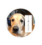 ハムちゃんの日常！！（個別スタンプ：7）
