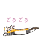日常で使える三毛猫（個別スタンプ：2）