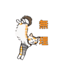 日常で使える三毛猫（個別スタンプ：3）