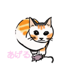 日常で使える三毛猫（個別スタンプ：4）