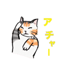 日常で使える三毛猫（個別スタンプ：5）