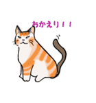日常で使える三毛猫（個別スタンプ：7）