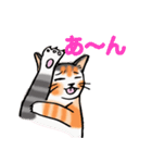 日常で使える三毛猫（個別スタンプ：8）