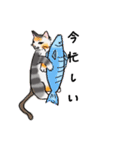 日常で使える三毛猫（個別スタンプ：9）