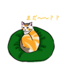 日常で使える三毛猫（個別スタンプ：10）