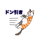 日常で使える三毛猫（個別スタンプ：12）