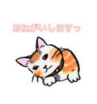 日常で使える三毛猫（個別スタンプ：18）