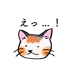 日常で使える三毛猫（個別スタンプ：23）
