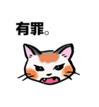 日常で使える三毛猫（個別スタンプ：24）