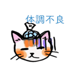 日常で使える三毛猫（個別スタンプ：27）