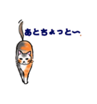 日常で使える三毛猫（個別スタンプ：30）