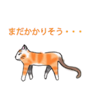 日常で使える三毛猫（個別スタンプ：31）
