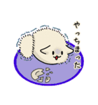 糸目くんとモチねこ2（個別スタンプ：25）