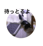 ゆずちゃんチワワ（個別スタンプ：9）