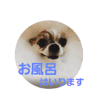 きりぼんぼん（個別スタンプ：4）