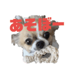 きりぼんぼん（個別スタンプ：5）