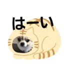きりぼんぼん（個別スタンプ：8）