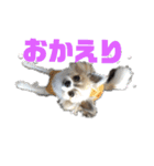 きりぼんぼん（個別スタンプ：12）