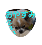 きりぼんぼん（個別スタンプ：16）