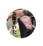 こはちゃんスタンプ1（個別スタンプ：3）