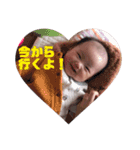 こはちゃんスタンプ1（個別スタンプ：4）