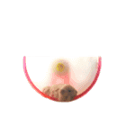 ハムスターのチューさん（個別スタンプ：12）