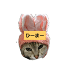 しおちゃん.（個別スタンプ：4）